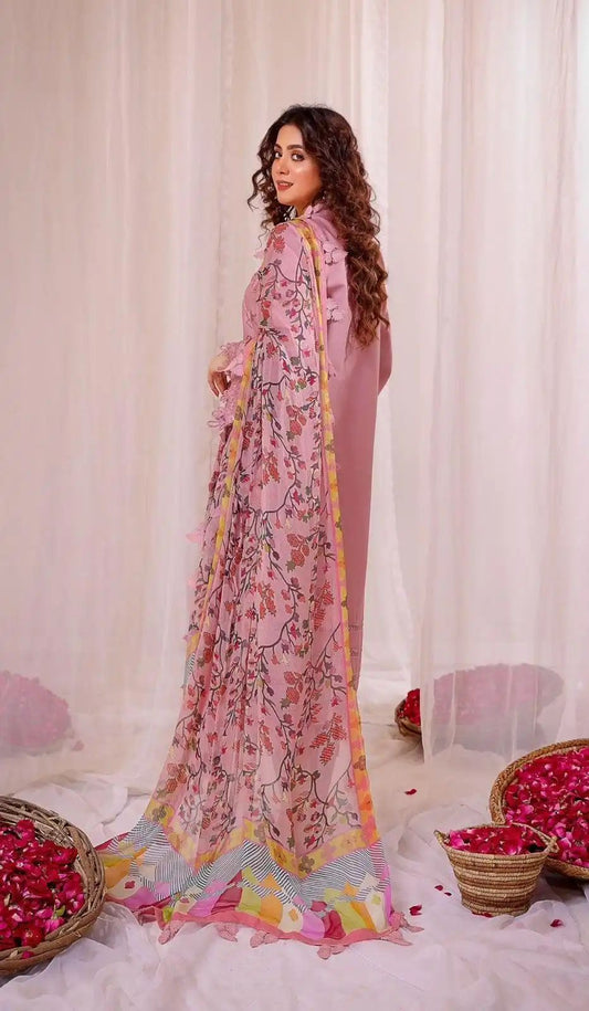 LIMELIGHT embroidered dhanak suit,